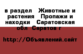  в раздел : Животные и растения » Пропажи и находки . Саратовская обл.,Саратов г.